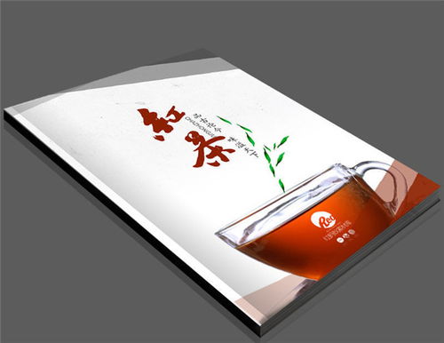 創(chuàng)意宣傳冊(cè)設(shè)計(jì)與動(dòng)漫元素融合 以江夏宣傳冊(cè)制作為例